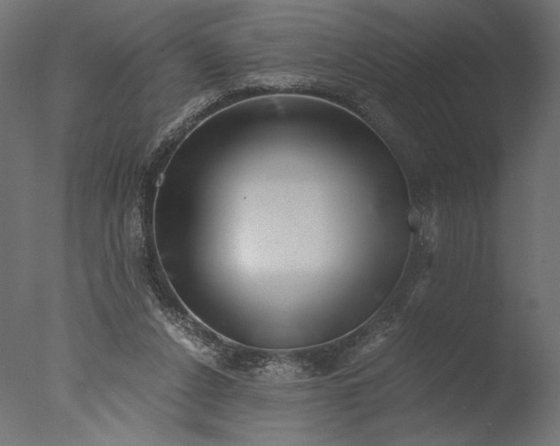 X0000076330256200610201712