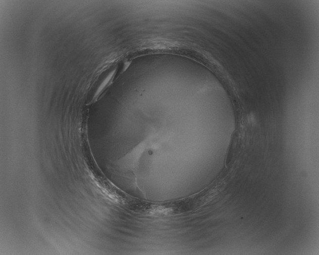 X0000076330257200610201712