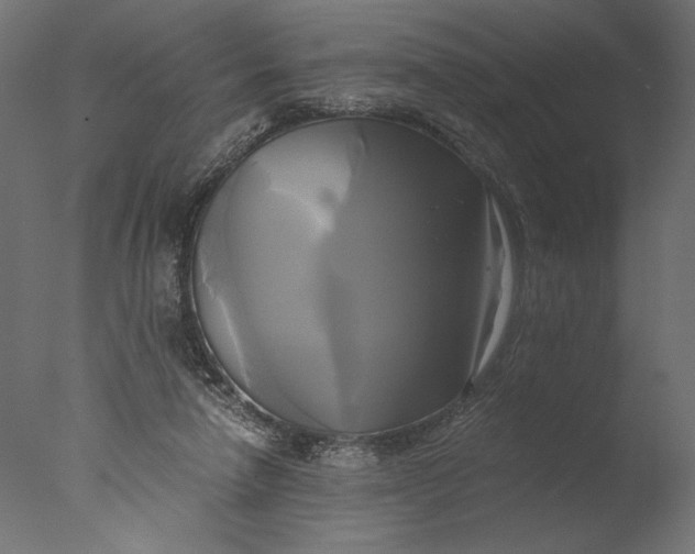 X0000076330258200610201712