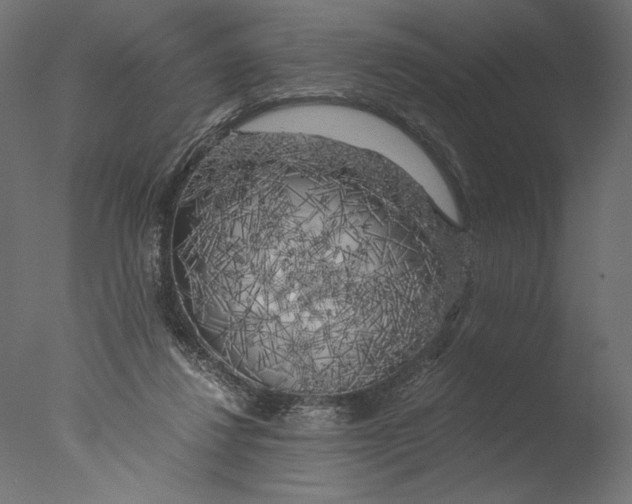 X0000076330260200610201712