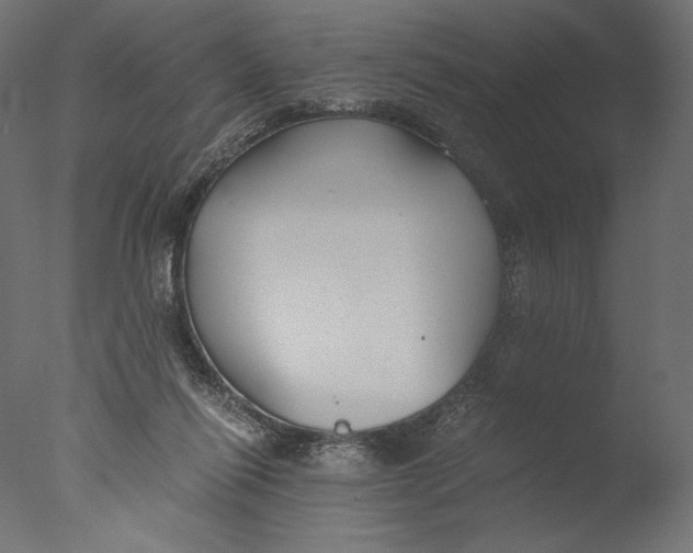 X0000076330262200610201712