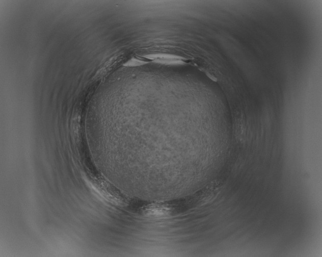 X0000076330263200610201712