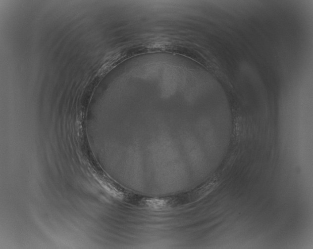 X0000076330265200610201712