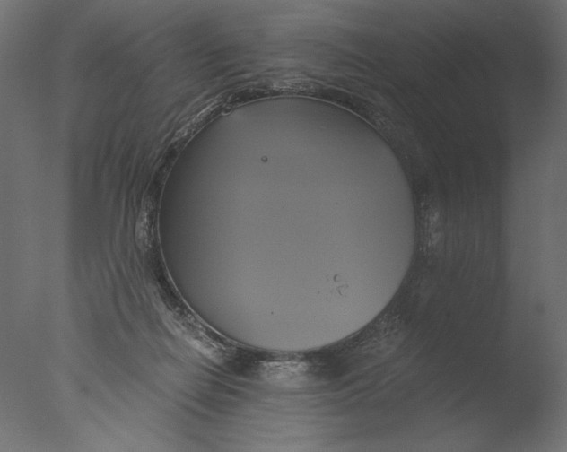 X0000076330266200610201712