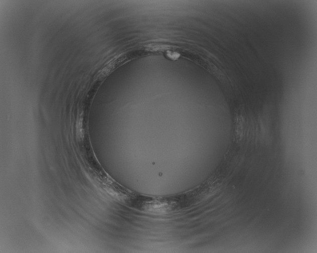 X0000076330267200610201712