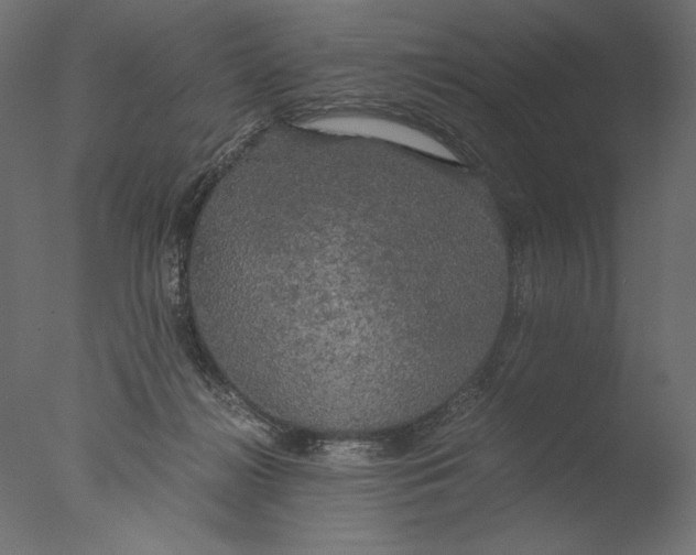 X0000076330268200610201712