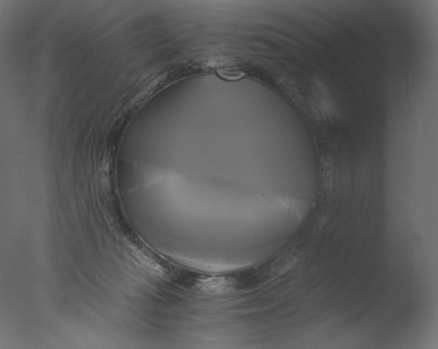 X0000076330269200610201712