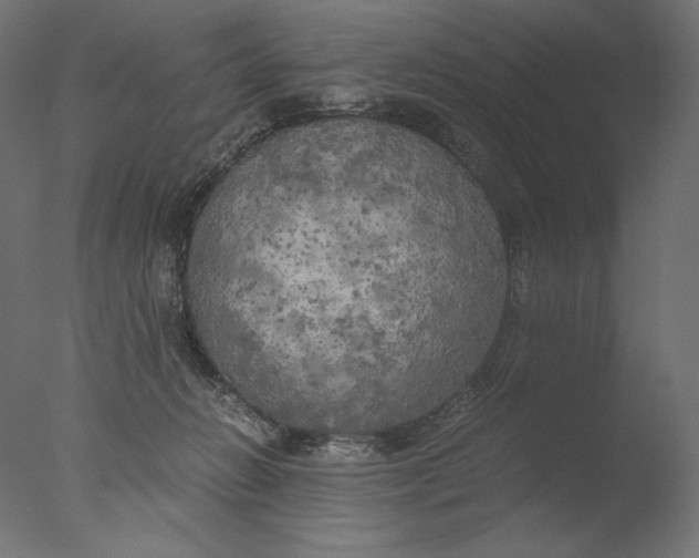 X0000076330270200610201712