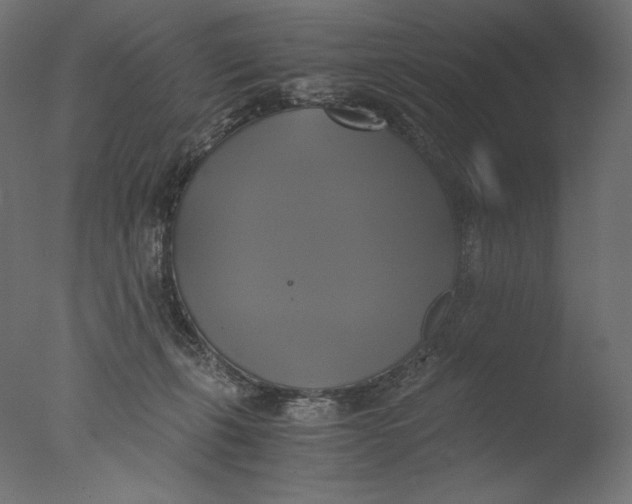 X0000076330271200610201712