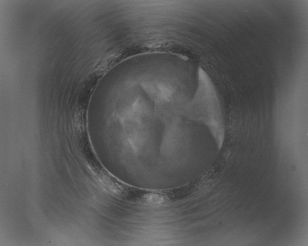 X0000076330272200610201712