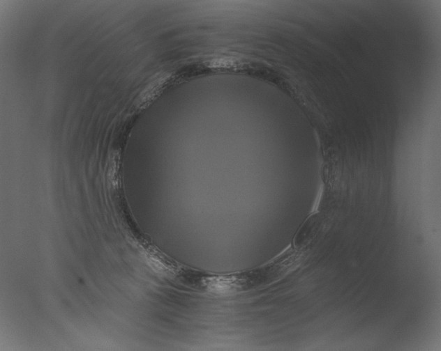 X0000076330273200610201712