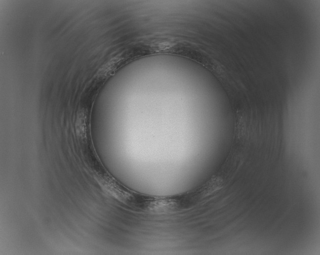 X0000076330274200610201712