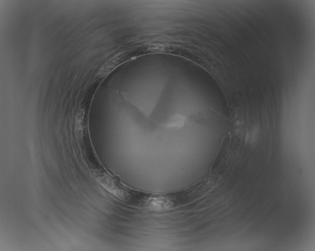 X0000076330275200610201712