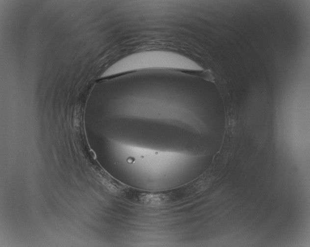 X0000076330277200610201712