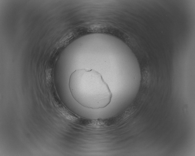 X0000076330278200610201712