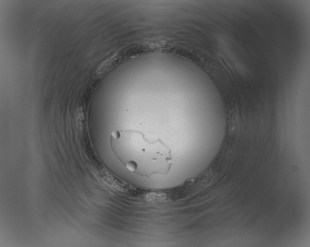 X0000076330279200610201712