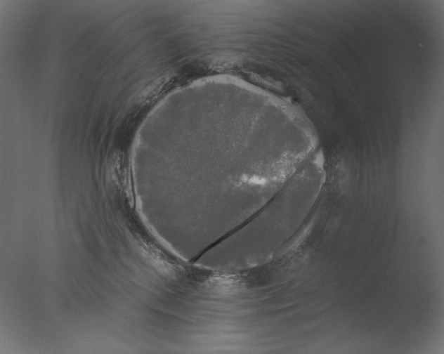 X0000076330280200610201712