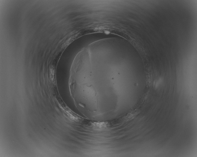 X0000076330281200610201712