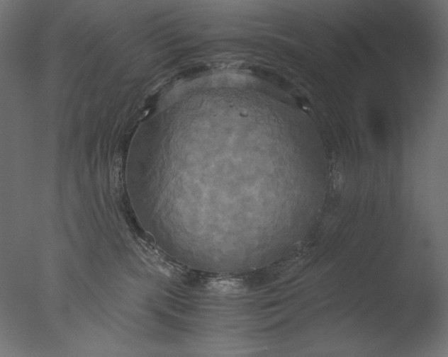 X0000076330283200610201713