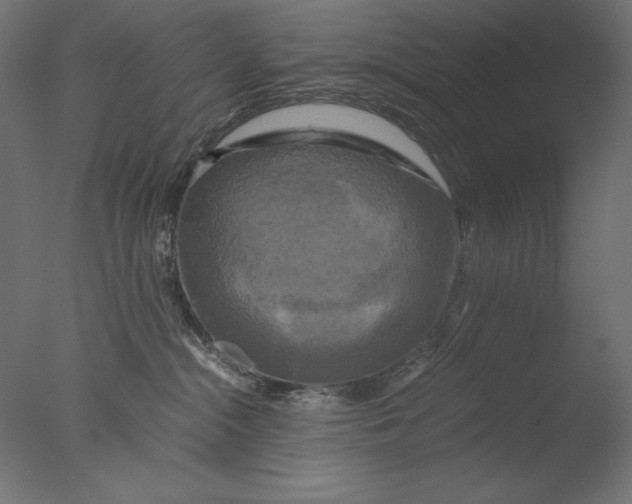 X0000076330284200610201713