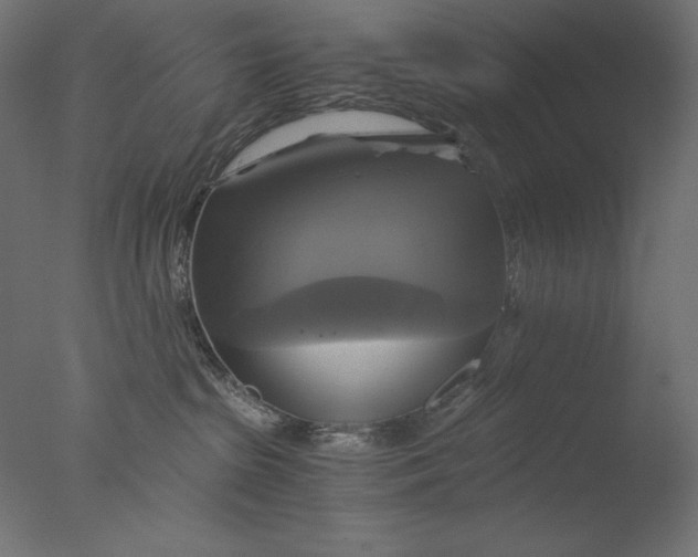 X0000076330285200610201713