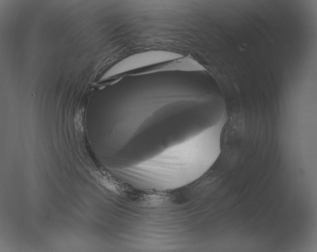 X0000076330286200610201713