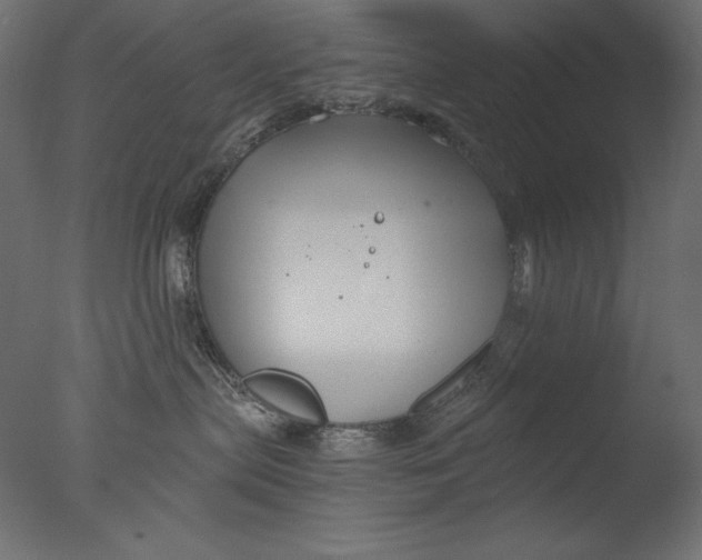 X0000076330287200610201713