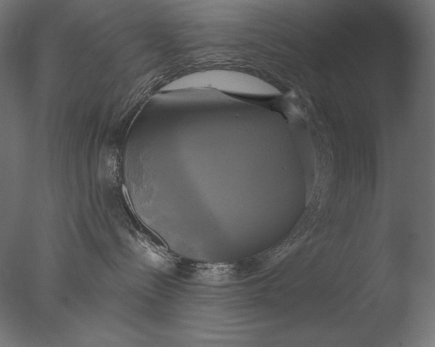 X0000076330288200610201713