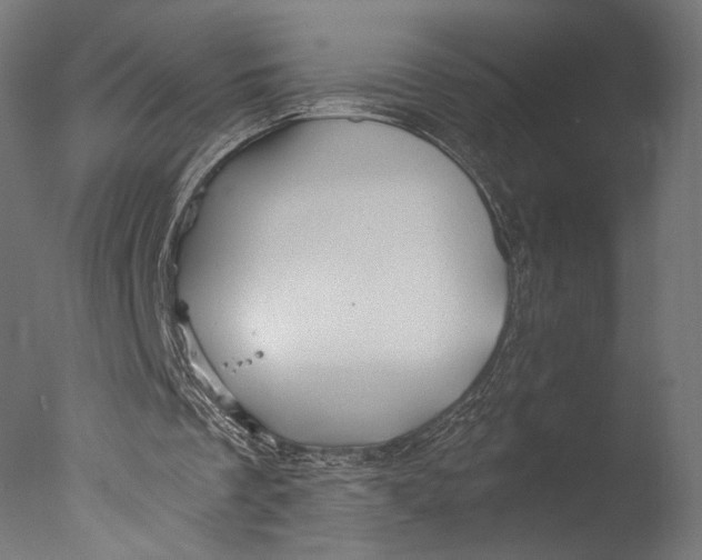 X0000076330289200610201712