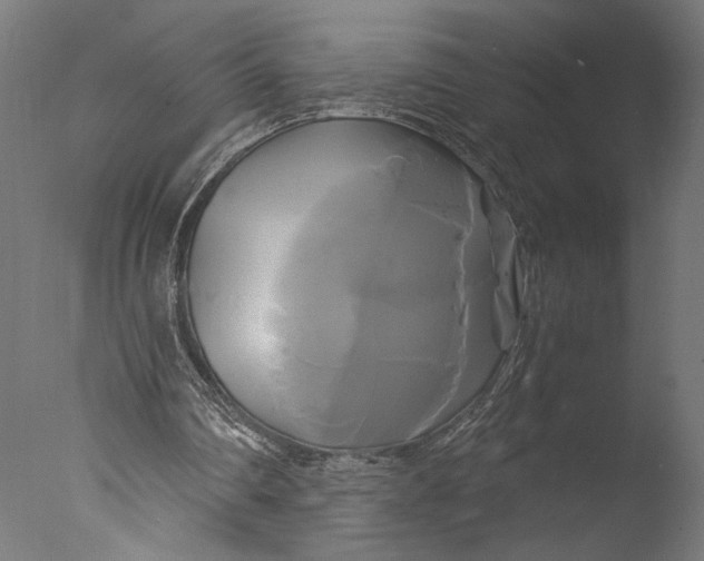 X0000076330290200610201712