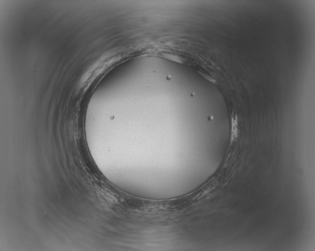 X0000076330291200610201712