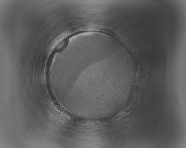 X0000076330292200610201712