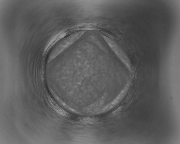 X0000076330293200610201712