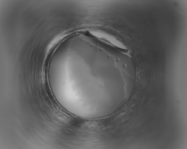 X0000076330294200610201712