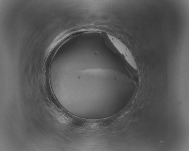 X0000076330295200610201712