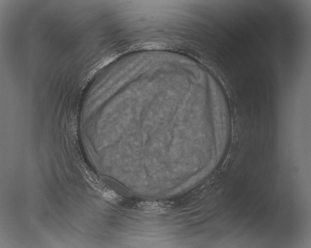 X0000076330297200610201712