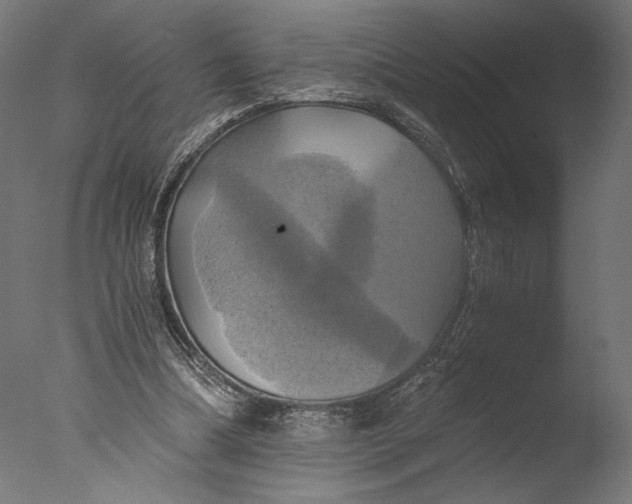 X0000076330298200610201712