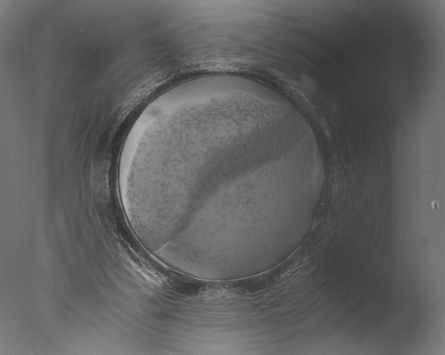 X0000076330299200610201712