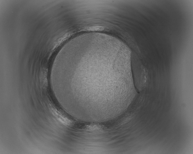 X0000076330300200610201712