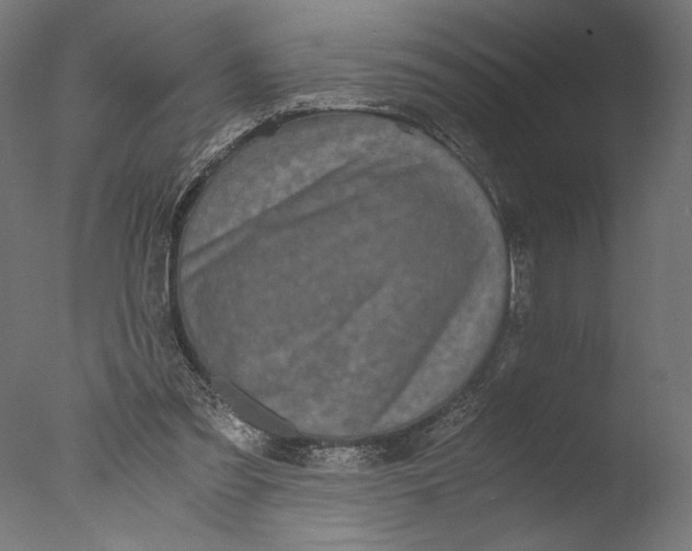 X0000076330301200610201712