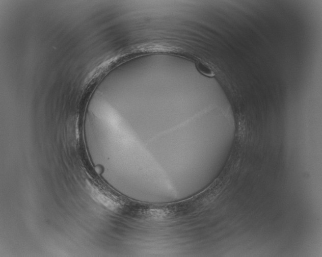 X0000076330302200610201712