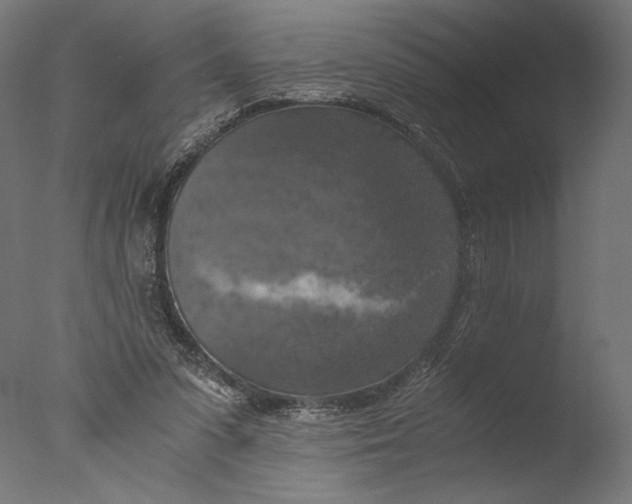 X0000076330303200610201712