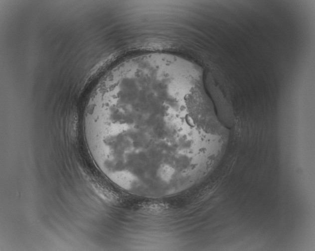 X0000076330304200610201712