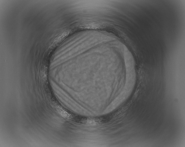 X0000076330305200610201712