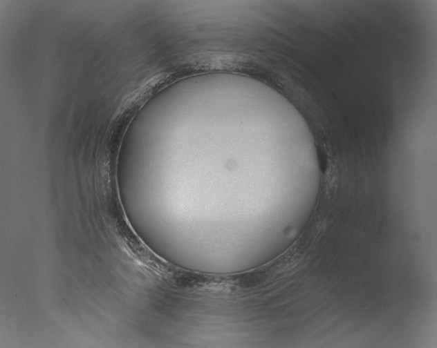 X0000076330306200610201712