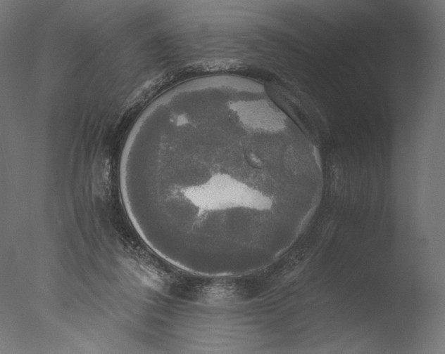 X0000076330308200610201711