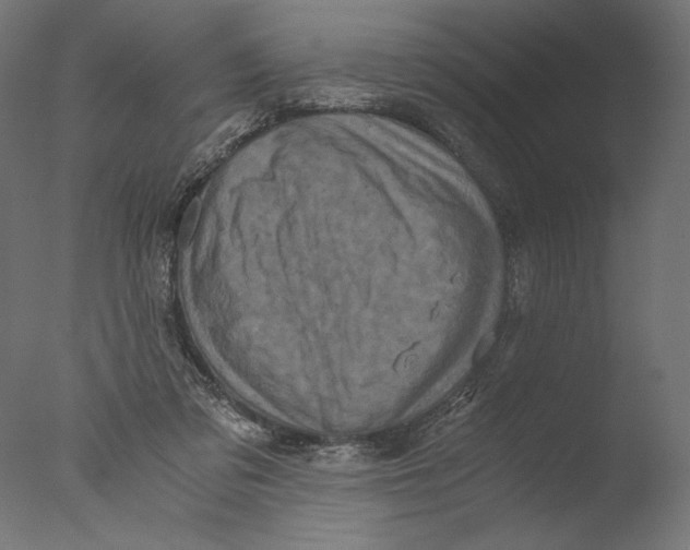 X0000076330309200610201711