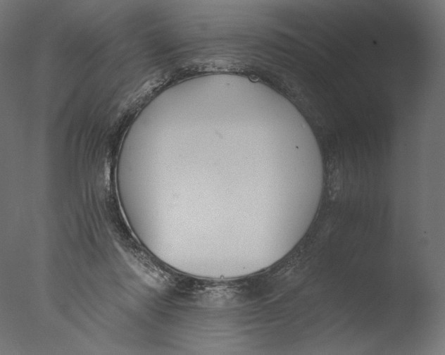 X0000076330310200610201711