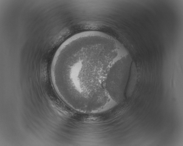 X0000076330312200610201711