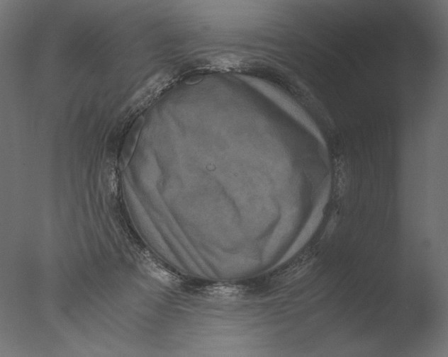 X0000076330313200610201711